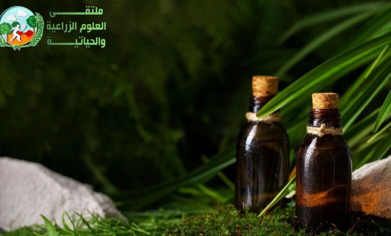 الزيوت العطرية: ما هي الزيوت العطرية؟ وخواصها وطرق استخدامها كوسيلة علاجية