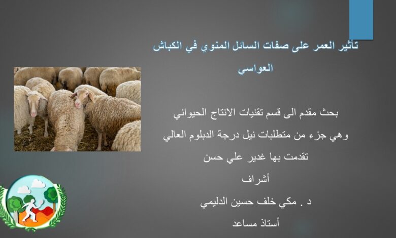 تأثير العمر على صفات السائل المنوي في الكباش العواسي هو موضوع يتطلب اهتمامًا خاصًا في مجال تربية الحيوانات وإنتاج اللحوم. يعتبر السائل المنوي أحد العوامل الرئيسية التي تحدد نجاح عمليات التلقيح الصناعي ودورة الإنتاج في الأغنام. ومع تقدم العمر، تتغير الصفات الفيزيائية والكيميائية للسائل المنوي، مما يؤثر بشكل مباشر على خصوبة الكباش وقدرتها على الإنجاب. في هذا المقال، سنستعرض كيف يؤثر العمر على جودة السائل المنوي لدى الكباش العواسي، ونناقش النتائج التي توصلت إليها الأبحاث في هذا المجال. من خلال فهم هذه العلاقة، يمكن للمربين تحسين استراتيجيات التلقيح وزيادة كفاءة الإنتاج. دعونا نغوص في هذه الدراسة المعقدة لنكشف عن الروابط الخفية بين العمر وجودة السائل المنوي.