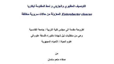 بكتريا Enterobacter