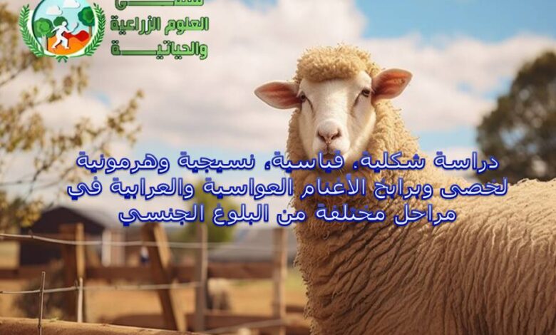 دراسة شكلية, قياسية, نسيجية وهرمونية لخصى وبرابخ الاغنام العواسية والعرابية في مراحل مختلفة من البلوغ الجنسي