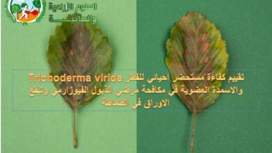 تقييم كفاءة مستحضر احيائي للفطر Trichoderma viride والاسمدة العضوية في مكافحة مرضي الذبول الفيوزارمي وتبقع الاوراق في الطماطة
