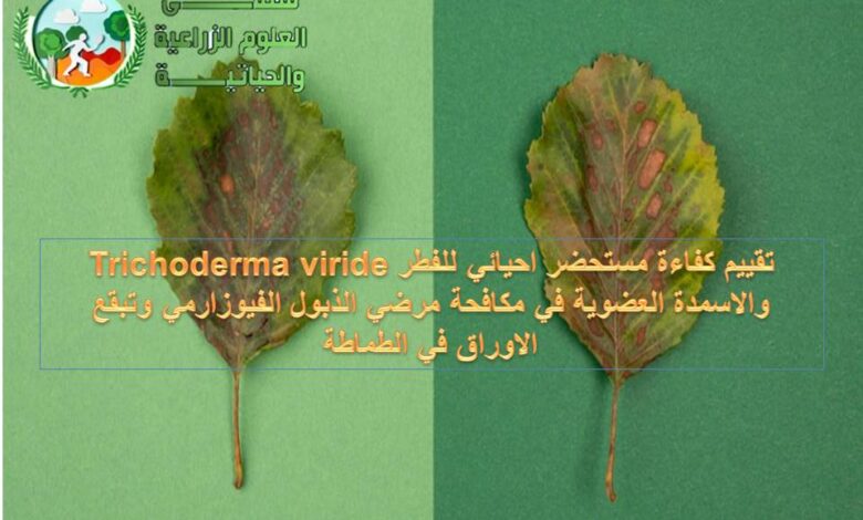 تقييم كفاءة مستحضر احيائي للفطر Trichoderma viride والاسمدة العضوية في مكافحة مرضي الذبول الفيوزارمي وتبقع الاوراق في الطماطة