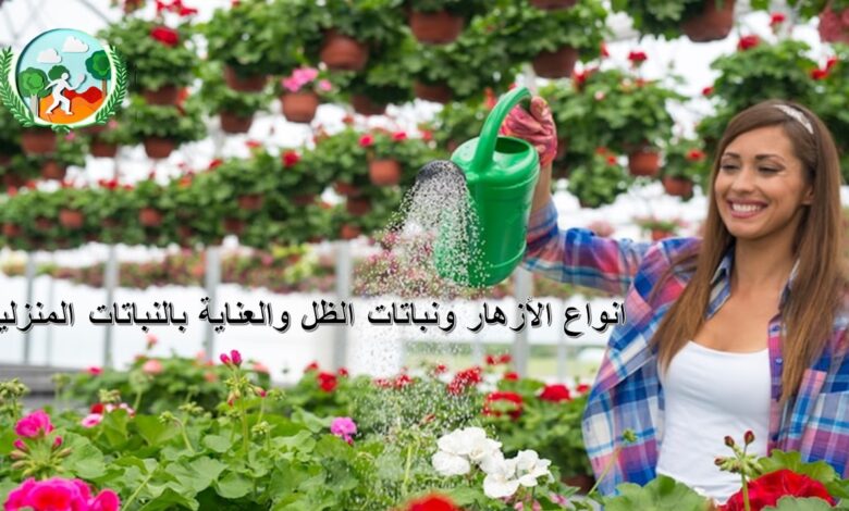 انواع الأزهار ونباتات الظل والعناية بالنباتات المنزلية