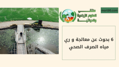 6 بحوث عن معالجة و ري مياه الصرف الصحي