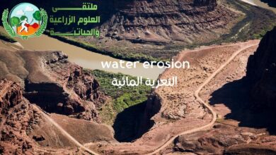التعرية المائية : مفهوم شامل اسباب وحلول