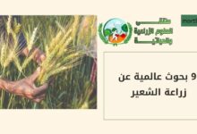 9 بحوث عالمية عن زراعة الشعير