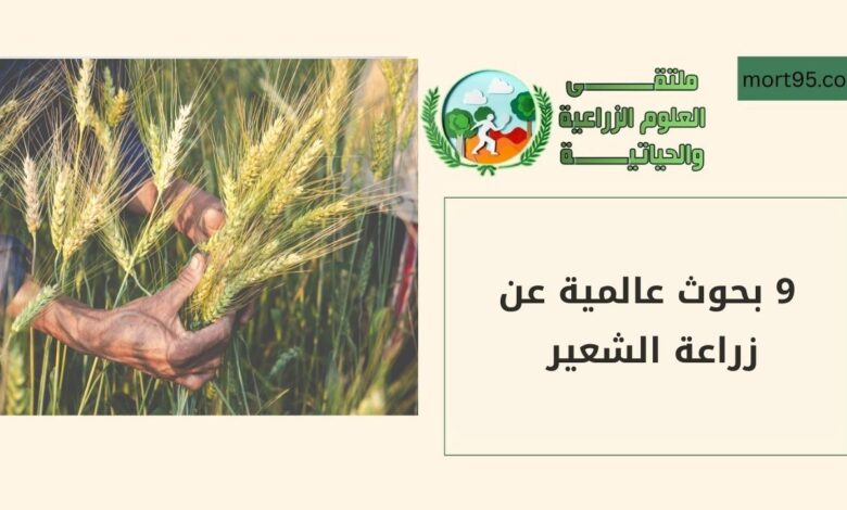 9 بحوث عالمية عن زراعة الشعير